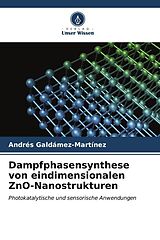 Kartonierter Einband Dampfphasensynthese von eindimensionalen ZnO-Nanostrukturen von Andrés Galdámez-Martínez