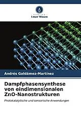 Kartonierter Einband (Kt) Dampfphasensynthese von eindimensionalen ZnO-Nanostrukturen von Andrés Galdámez-Martínez