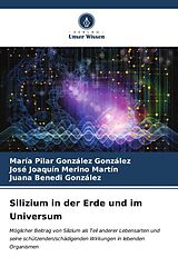 Kartonierter Einband Silizium in der Erde und im Universum von María Pilar González González, José Joaquín Merino Martín, Juana Benedi González