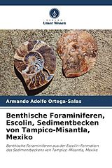 Kartonierter Einband Benthische Foraminiferen, Escolin, Sedimentbecken von Tampico-Misantla, Mexiko von Armando Adolfo Ortega-Salas