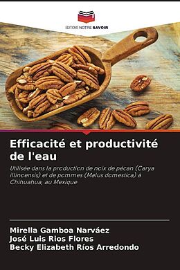 Couverture cartonnée Efficacité et productivité de l'eau de Mirella Gamboa Narváez, José Luis Ríos Flores, Becky Elizabeth Ríos Arredondo