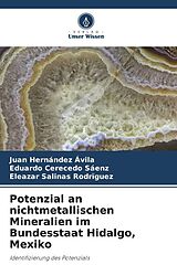 Kartonierter Einband Potenzial an nichtmetallischen Mineralien im Bundesstaat Hidalgo, Mexiko von Juan Hernández Ávila, Eduardo Cerecedo Sáenz, Eleazar Salinas Rodríguez