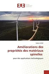 Kartonierter Einband (Kt) Améliorations des propriétés des matériaux spinelles von Fakher Hcini