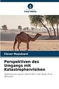 Perspektiven des Umgangs mit Katastrophenrisiken