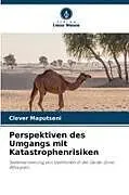 Perspektiven des Umgangs mit Katastrophenrisiken