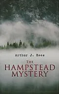 E-Book (epub) Hampstead Mystery von Arthur J. Rees