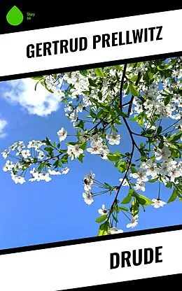 E-Book (epub) Drude von Gertrud Prellwitz