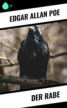 E-Book (epub) Der Rabe von Edgar Allan Poe