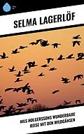 E-Book (epub) Nils Holgerssons wunderbare Reise mit den Wildgänsen von Selma Lagerlöf