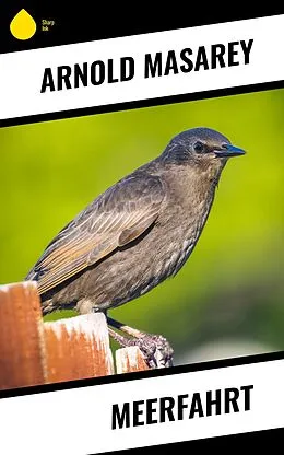 E-Book (epub) Meerfahrt von Arnold Masarey