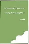 Kartonierter Einband Pollution and Environment von Chalam