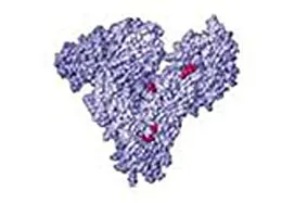 E-Book (epub) Estimation of Serum Albumin von Smita Kaushik