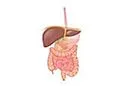 E-Book (epub) Glucose Tolerance Test von Smita Kaushik