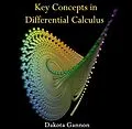 E-Book (pdf) Key Concepts in Differential Calculus von Dakota Gannon