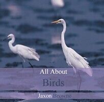E-Book (pdf) All About Birds von Jaxon Browne