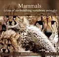 E-Book (pdf) Mammals (class of air-breathing vertebrate animals) von Jovan Galindo