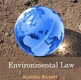 E-Book (pdf) Environmental Law von Mckinley Puckett
