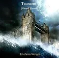 PDF Tsunami (Natural Hazard) von Estefania Wenger
