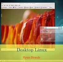 eBook (pdf) Desktop Linux de Hyun Straub