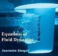 E-Book (pdf) Equations of Fluid Dynamics von Jeanette Stegall