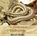 E-Book (pdf) Introduction to Biodiversity, An von Maleah Metzler