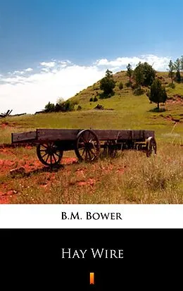 E-Book (epub) Hay Wire von B.M. Bower