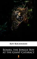 E-Book (epub) Bomba, the Jungle Boy at the Giant Cataract von Roy Rockwood