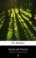 E-Book (epub) Luck or Pluck von T.C. Bridges