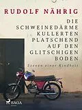 E-Book (epub) Die Schweinedärme kullerten platschend auf den glitschigen Boden von Rudolf Nährig