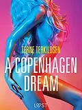 E-Book (epub) A Copenhagen Dream - erotic short story von Terne Terkildsen