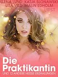 E-Book (epub) Die Praktikantin und 12 andere heiße Erzählungen von Lisa Vild, Katja Slonawski, Malin Edholm