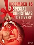E-Book (epub) December 16: A Special Christmas Delivery - An Erotic Christmas Calendar von Sarah Schmidt