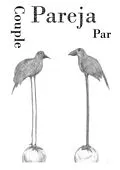 E-Book (epub) Couples von Elina Cullen