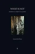 E-Book (epub) What is Not von Camelia Elias