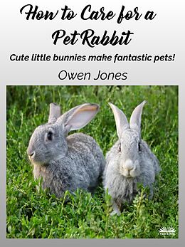 eBook (epub) How To Care For A Pet Rabbit de Owen Jones