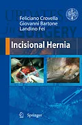 E-Book (pdf) Incisional Hernia von Feliciano Crovella, Giovanni Bartone, Landino Fei
