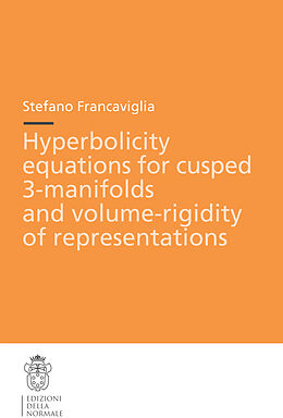 Kartonierter Einband Hyperbolicity equations for cusped 3-manifolds and volume-rigidity of representations von Stefano Francaviglia