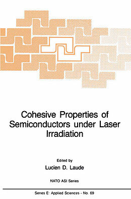 Fester Einband Cohesive Properties of Semiconductors under Laser Irradiation von 