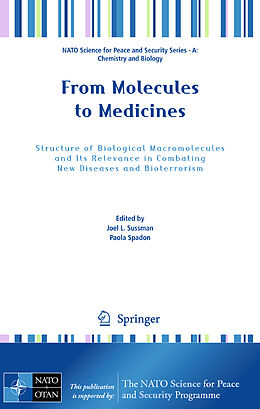 E-Book (pdf) From Molecules to Medicines von 