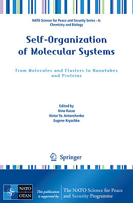 Kartonierter Einband Self-Organization of Molecular Systems von 