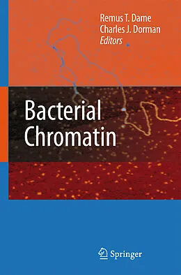 E-Book (pdf) Bacterial Chromatin von Remus T. Dame, Charles J. Dorman