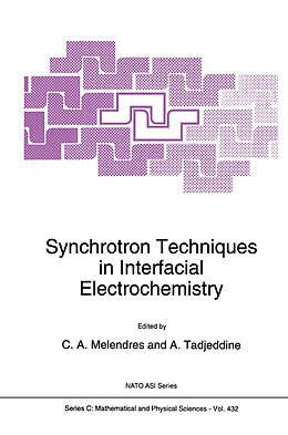 Kartonierter Einband Synchrotron Techniques in Interfacial Electrochemistry von 