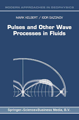 Couverture cartonnée Pulses and Other Wave Processes in Fluids de I. A. Sazonov, M. Kelbert