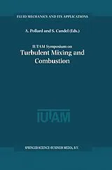 Kartonierter Einband IUTAM Symposium on Turbulent Mixing and Combustion von