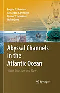 E-Book (pdf) Abyssal Channels in the Atlantic Ocean von Eugene G. Morozov, Alexander N. Demidov, Roman Y. Tarakanov