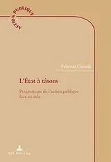 Kartonierter Einband (Kt) L'État à tâtons von Fabrizio Cantelli