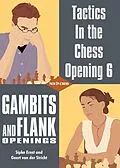 E-Book (epub) Tactics in the Chess Opening 6 von Geert van der Stricht, Sipke Ernst
