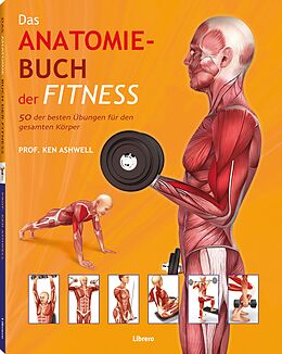 Kartonierter Einband Das Anatomie-Buch der Fitness von Ken Ashwell