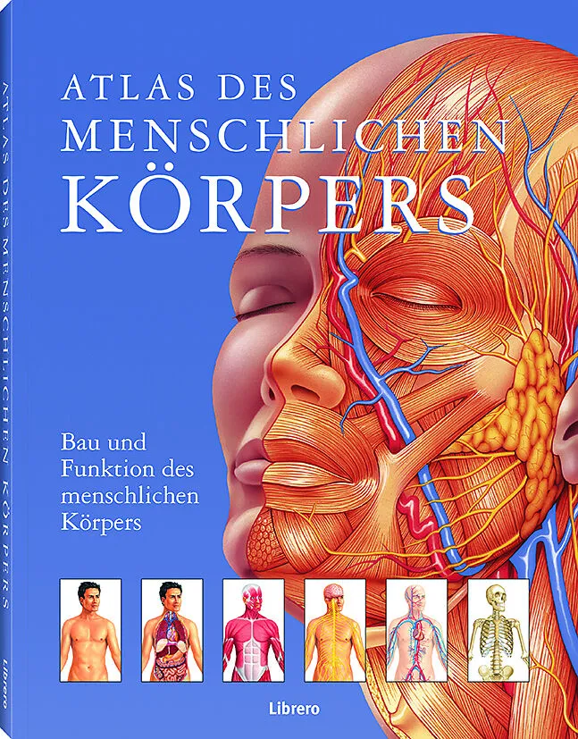 Atlas des menschlichen Körpers