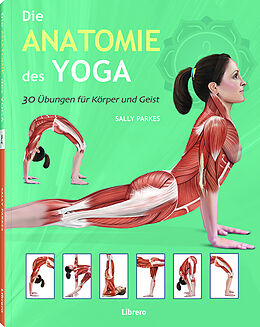 Kartonierter Einband Die Anatomie des Yoga von Ken Ashwell